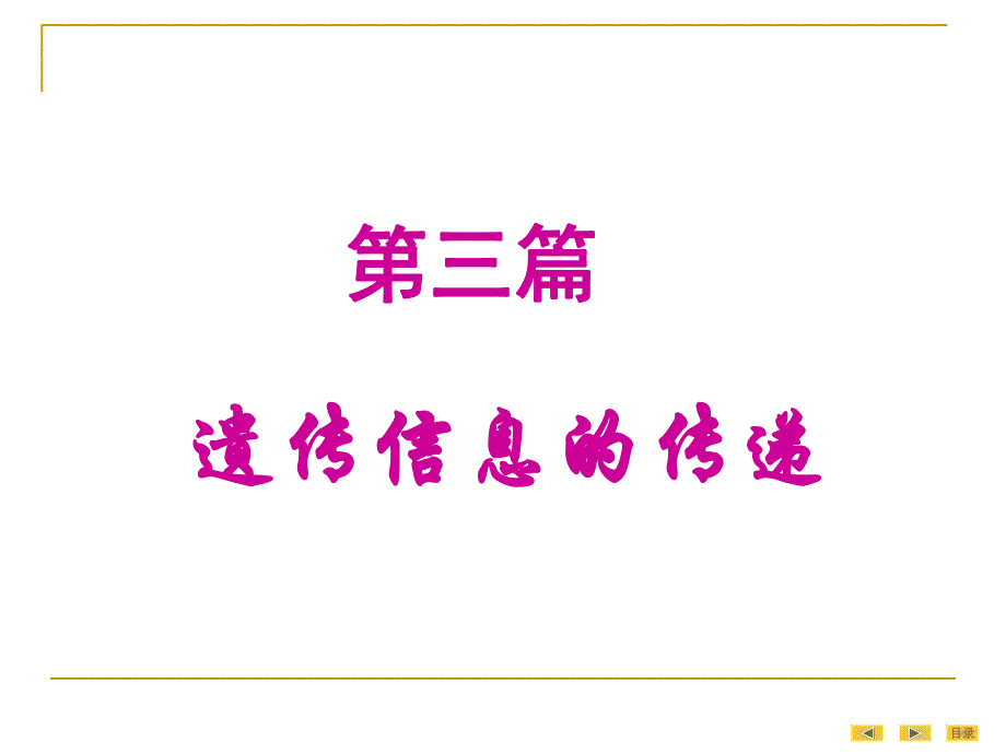 第13章真核基因与基因组.ppt_第1页