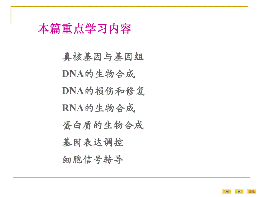 第13章真核基因与基因组.ppt_第2页