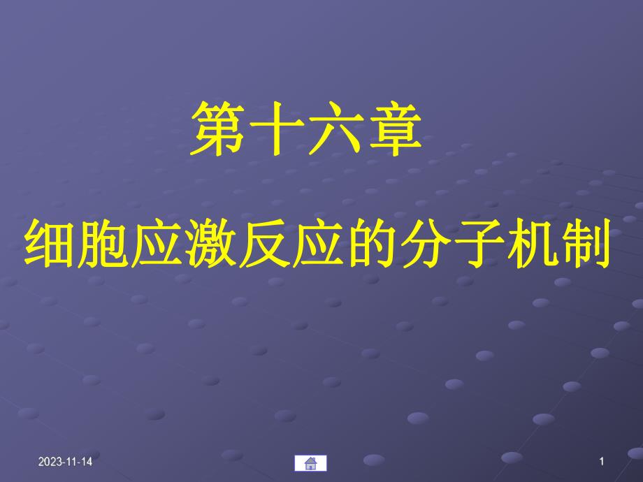 第16章细胞应激反应的.ppt_第1页