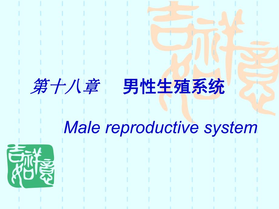 第18章男性生殖系统1.ppt_第1页