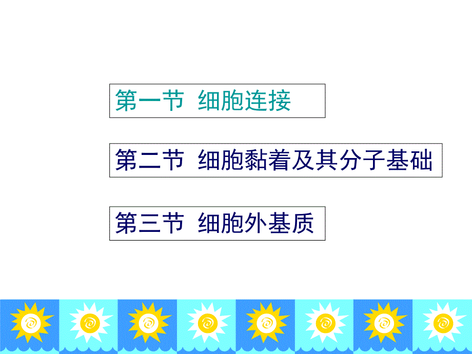 第15章细胞连接细胞黏着和细胞外基质.ppt_第2页