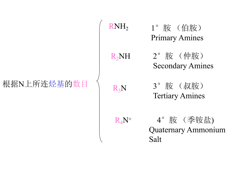 第17章胺.ppt_第2页