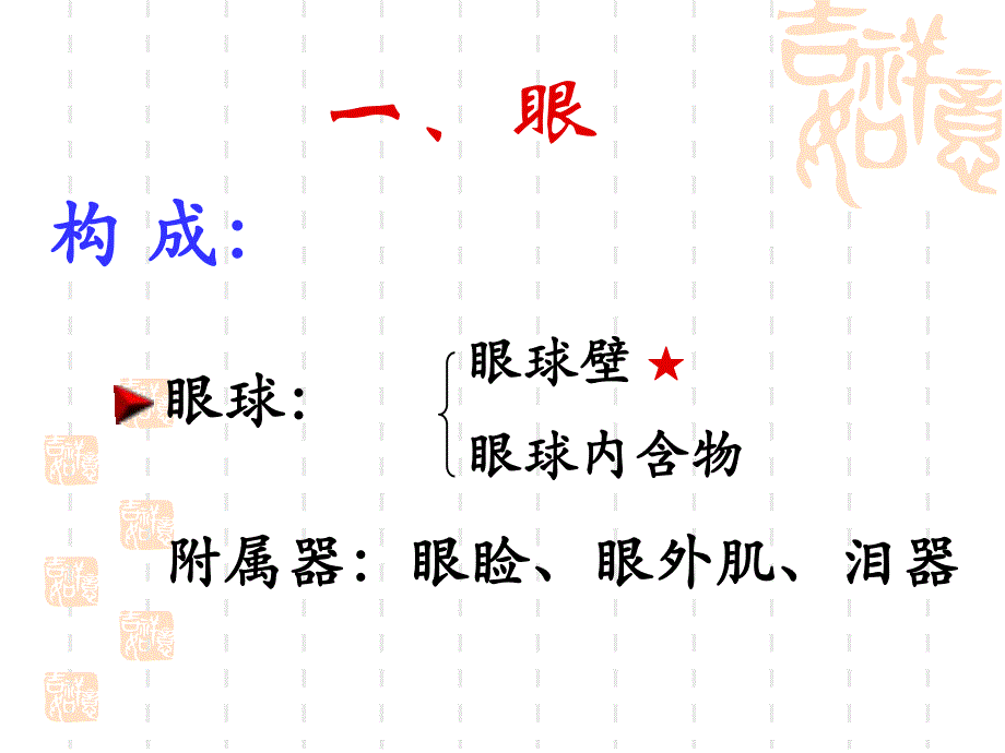 第16章眼和耳.ppt_第3页