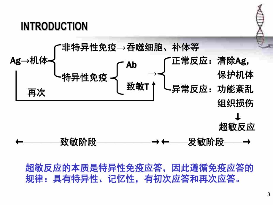 第17章超敏反应.ppt_第3页