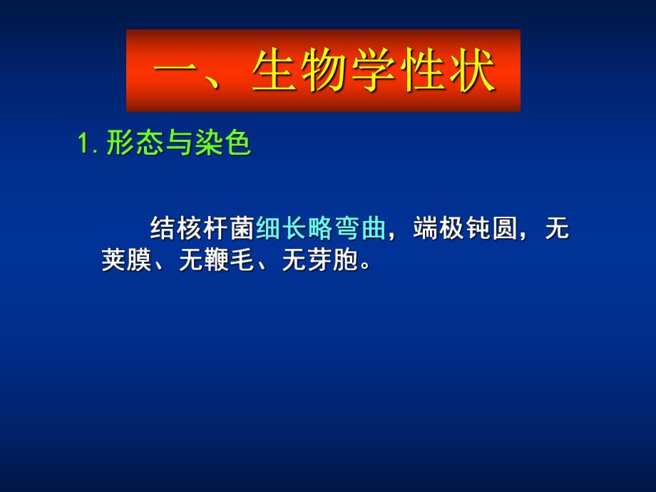 第14章分支杆菌属.ppt_第3页