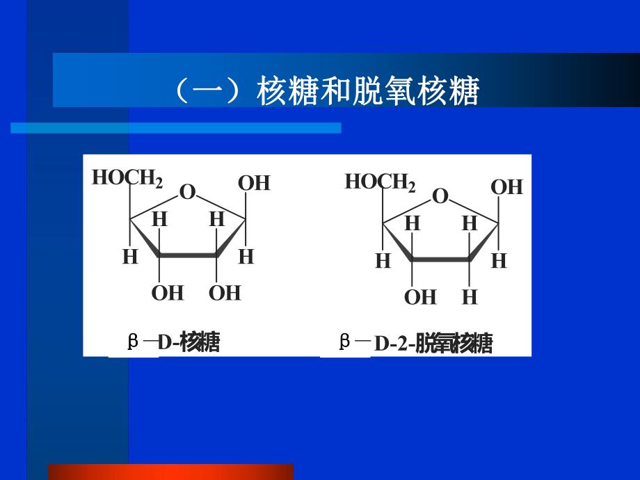 第14章核酸的结构.ppt_第3页