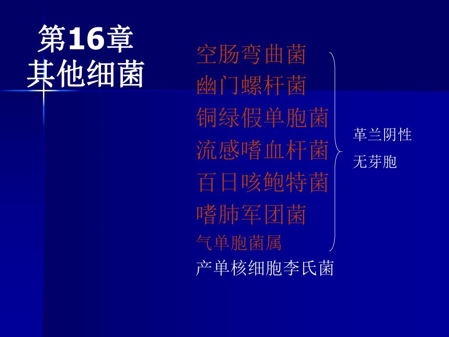 第16部分其他细菌名师编辑PPT课件.ppt_第1页