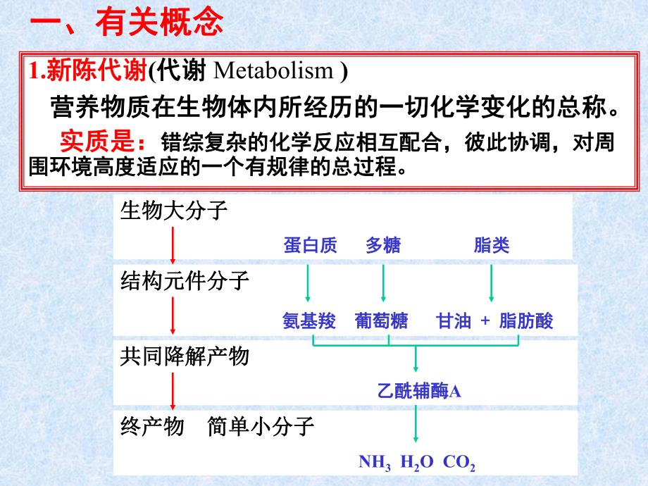 第19章代谢总论名师编辑PPT课件.ppt_第2页