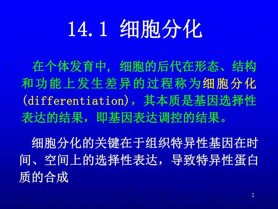 第14章细胞分化与基因表达调控.ppt_第2页