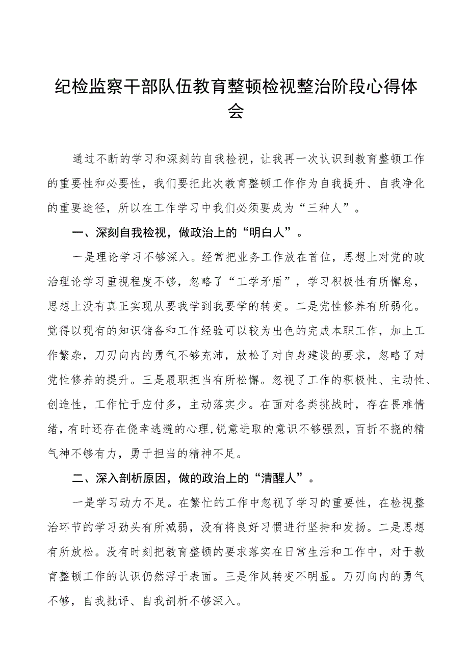 2023年纪检监察干部队伍教育整顿检视整治环节心得体会三篇.docx_第1页