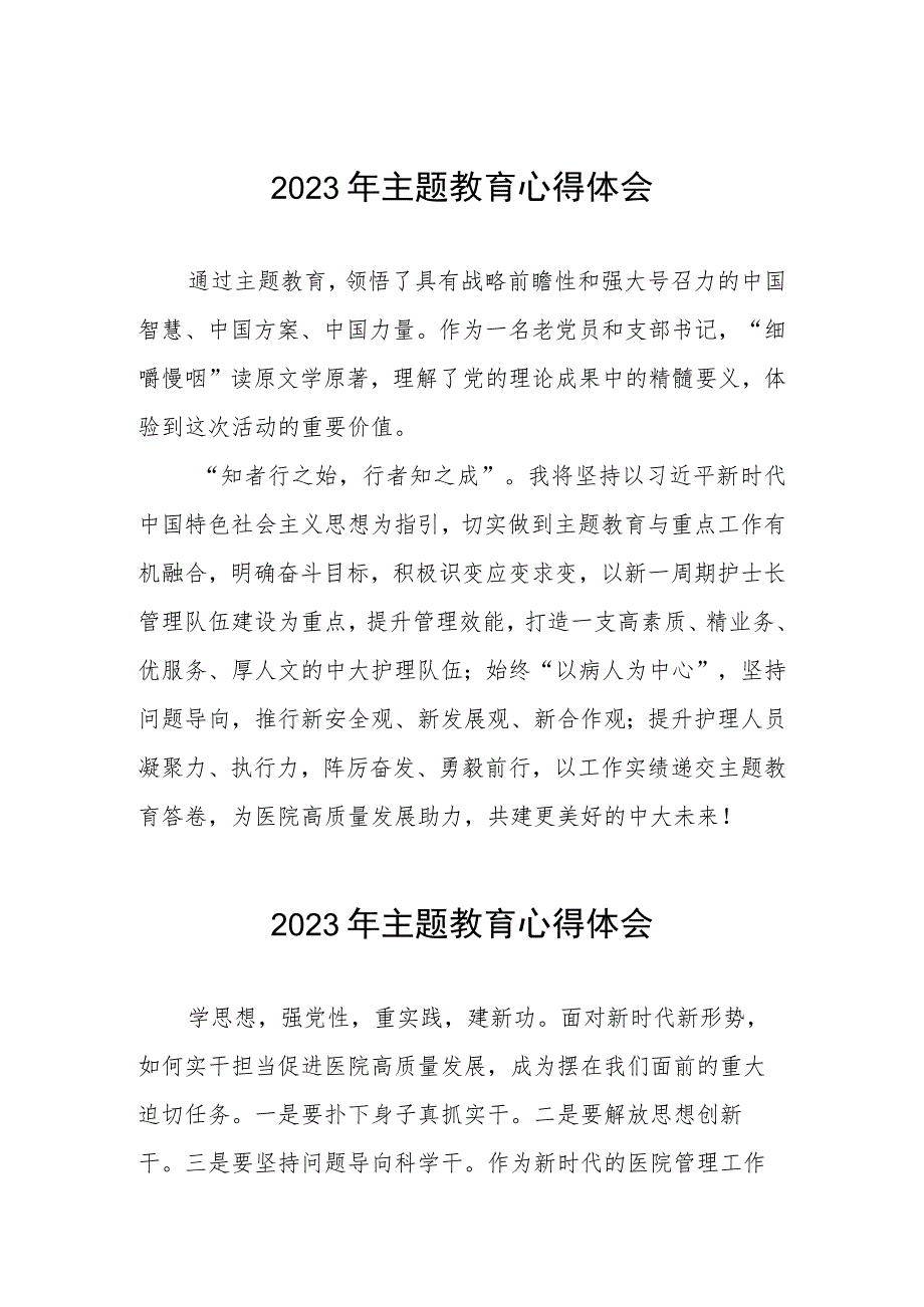 医院产科党支部2023年主题教育的心得体会(五篇).docx_第1页