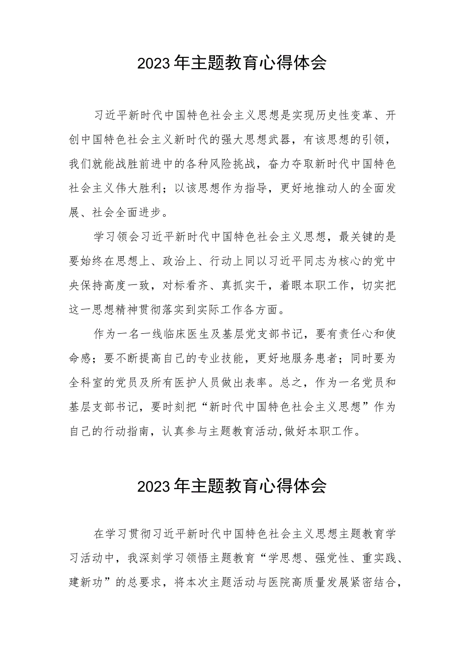 党员医生2023年主题教育心得体会三篇.docx_第2页