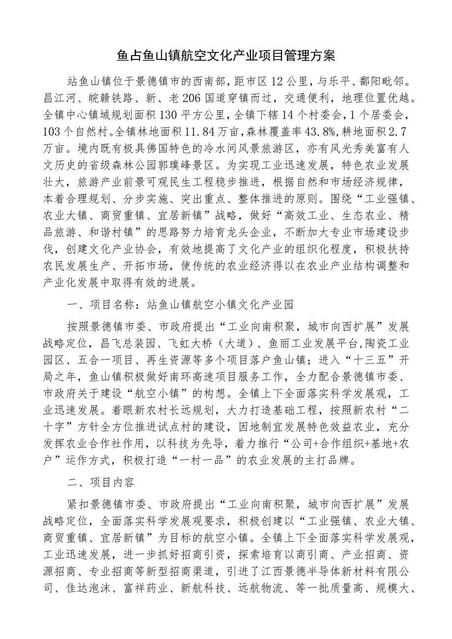 鲇鱼山镇航空文化产业项目管理方案.docx_第1页