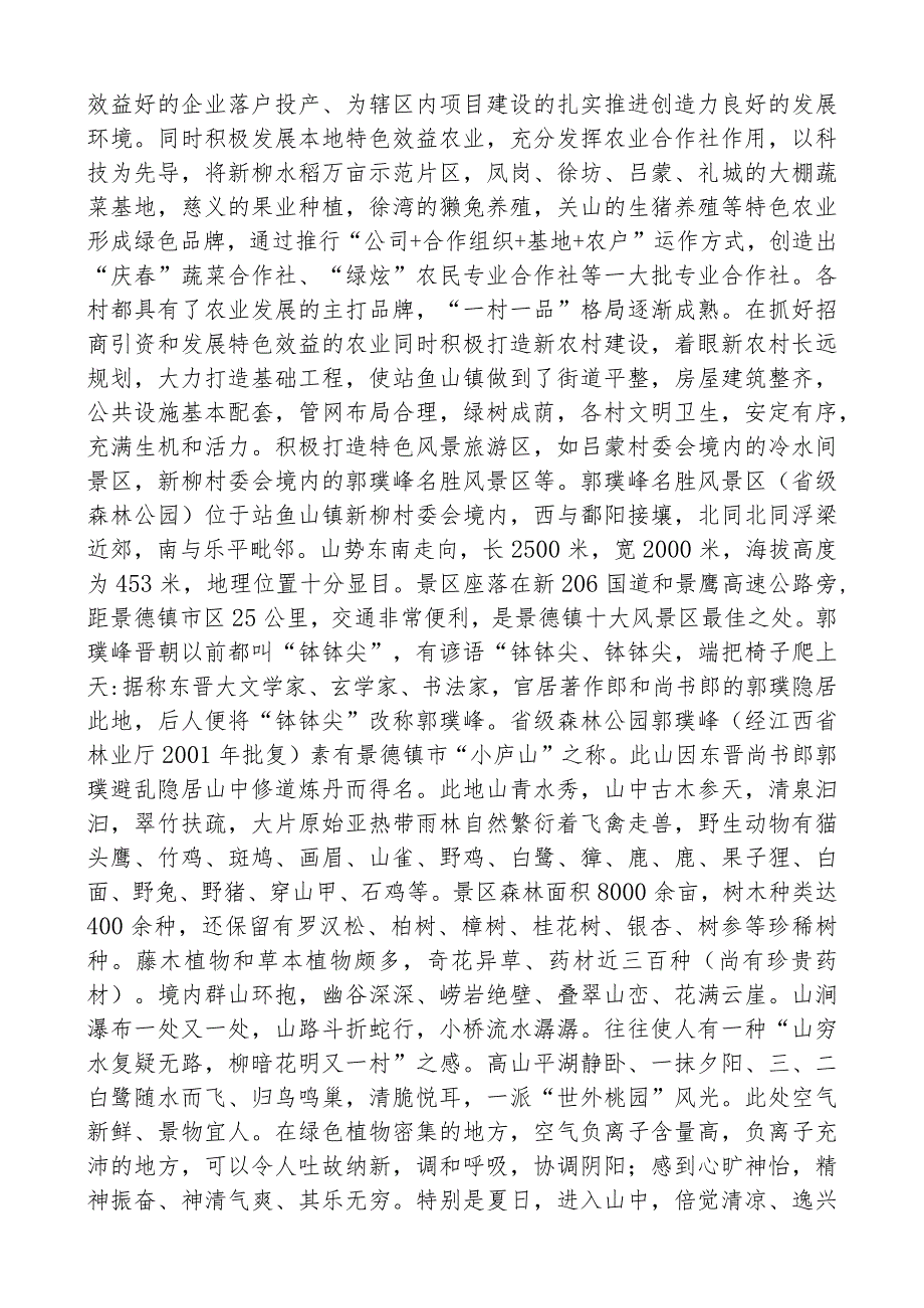 鲇鱼山镇航空文化产业项目管理方案.docx_第2页