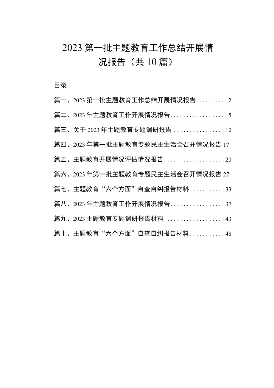 2023第一批主题教育工作总结开展情况报告（共10篇）.docx_第1页