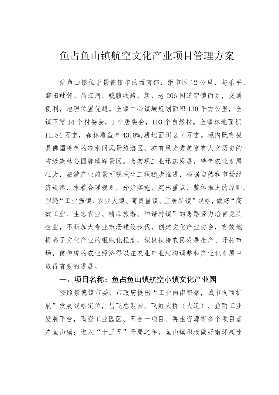 鲇鱼山镇航空文化产业项目管理方案.docx_第1页