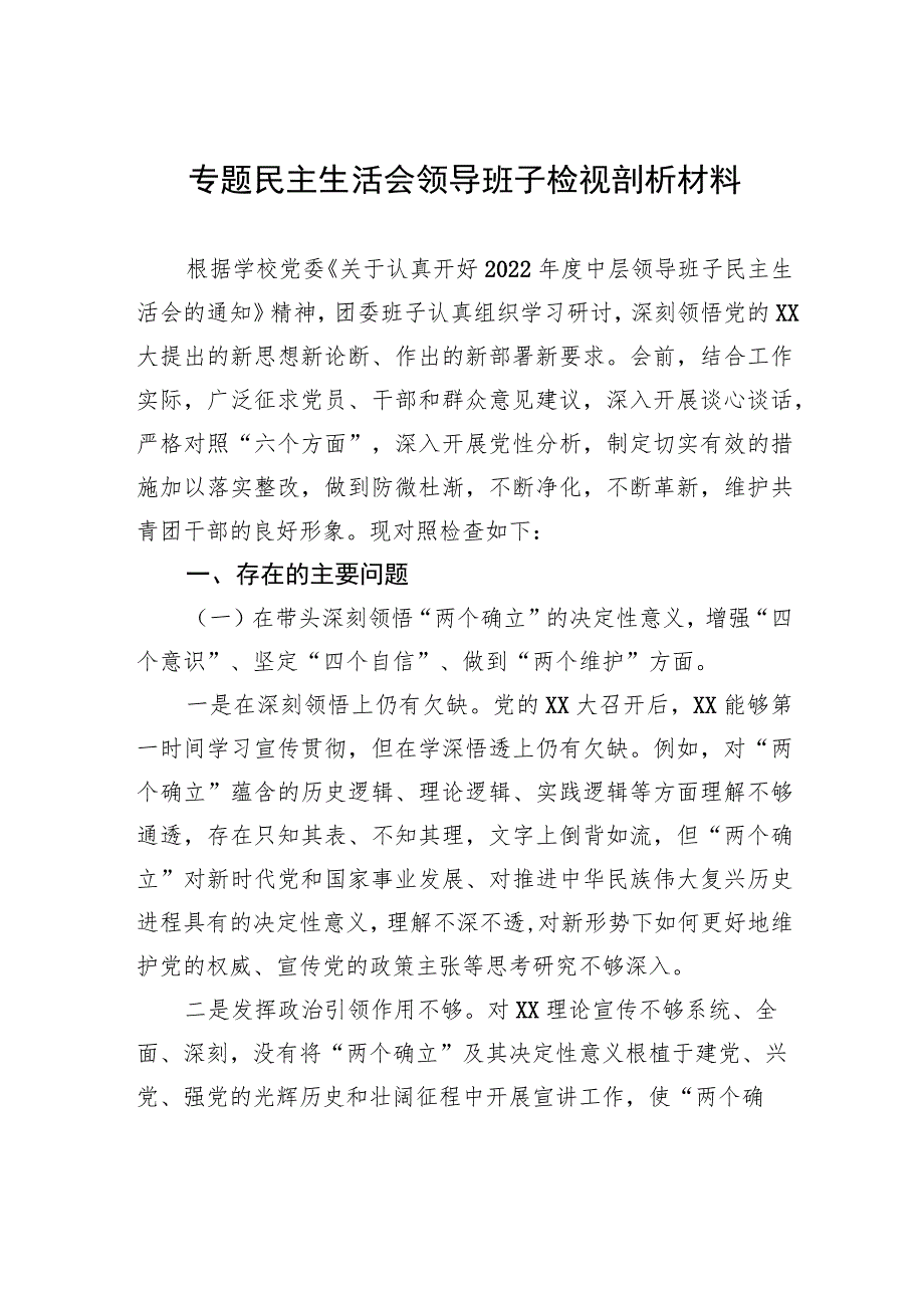 专题民主生活会领导班子检视剖析材料.docx_第1页