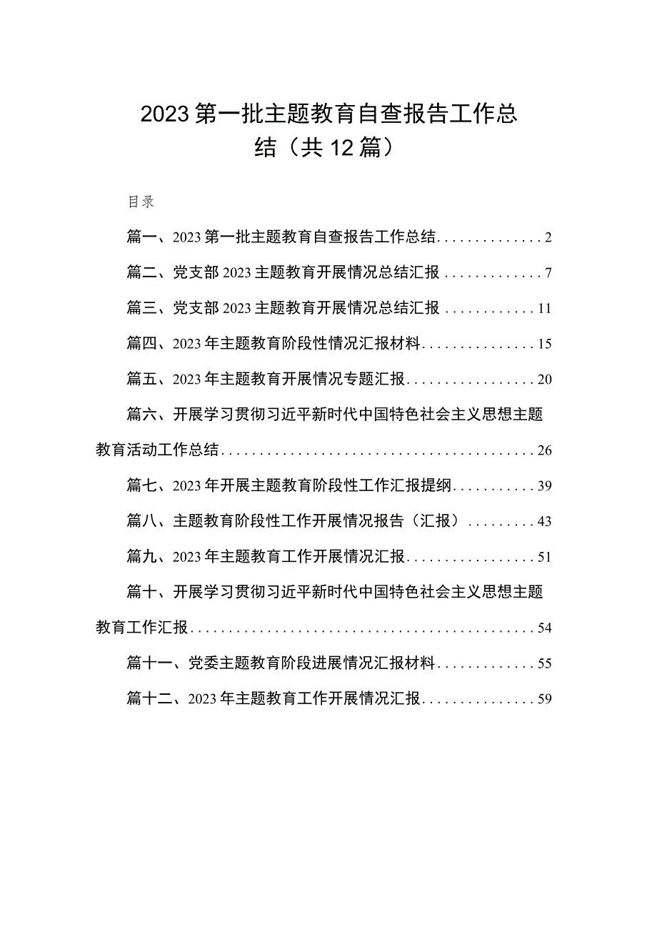 2023第一批主题教育自查报告工作总结（共12篇）.docx_第1页