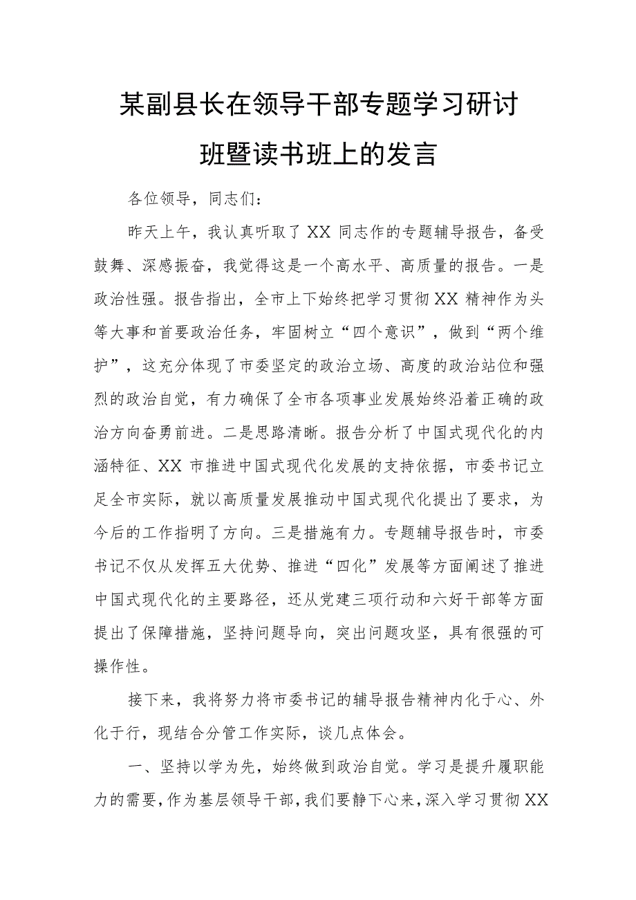 某副县长在领导干部专题学习研讨班暨读书班上的发言.docx_第1页