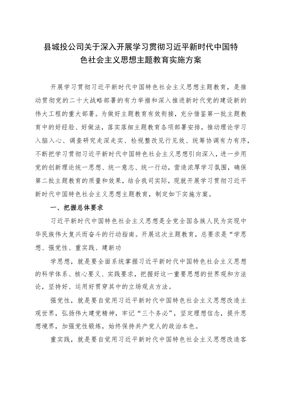 县城投公司学习贯彻主题教育实施方案.docx_第1页