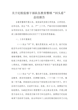 关于纪检监察干部队伍教育整顿“回头看”总结报告.docx