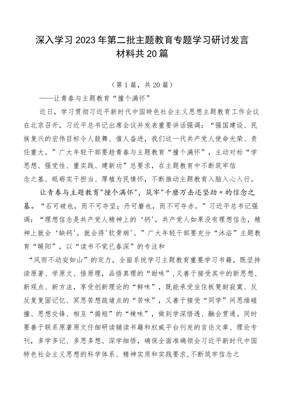 深入学习2023年第二批主题教育专题学习研讨发言材料共20篇.docx_第1页