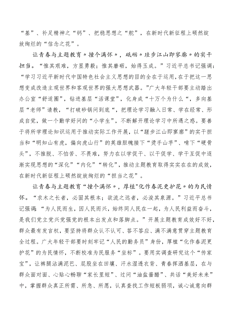 深入学习2023年第二批主题教育专题学习研讨发言材料共20篇.docx_第2页