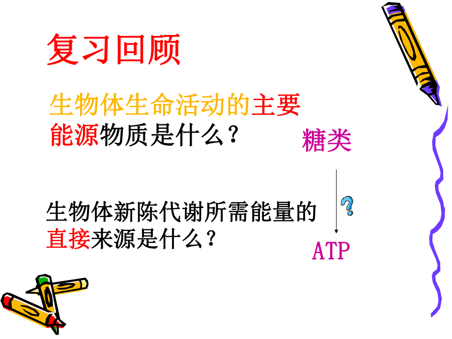 细胞呼吸课件精品教育.ppt_第2页