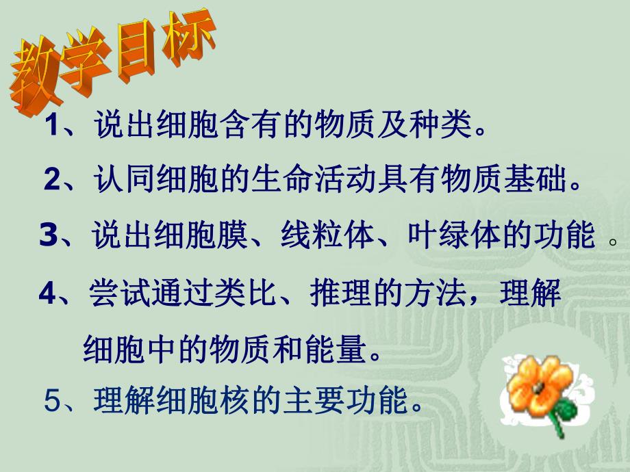 细胞的生活四课时精品教育.ppt_第3页