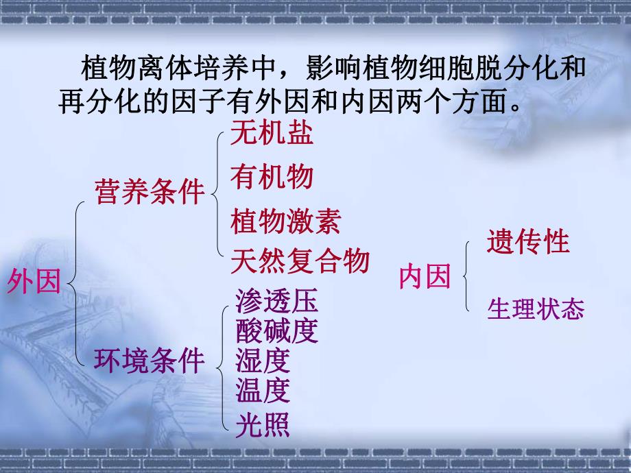 影响脱分化和再分化的因子.ppt_第2页