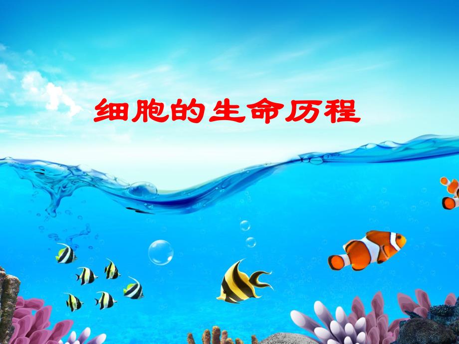 细胞的生命历程说课课件精品教育.ppt_第1页