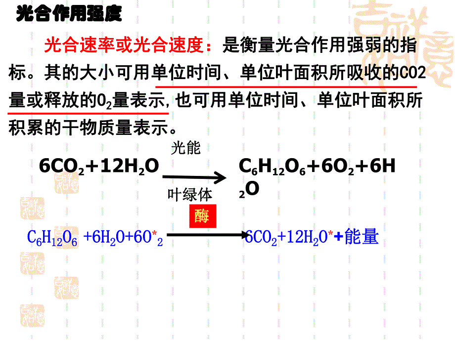 影响光合作用因素实用.ppt_第2页