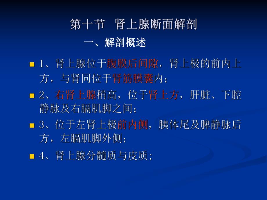 影像解剖肾上腺.ppt_第1页