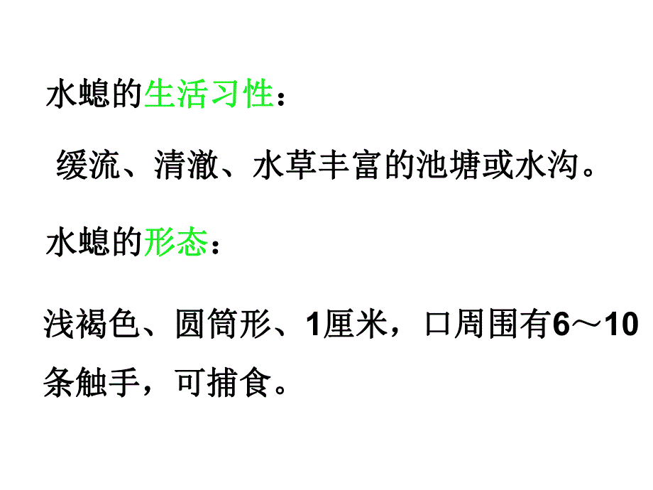 腔肠动物、扁形动物精品教育.ppt_第3页