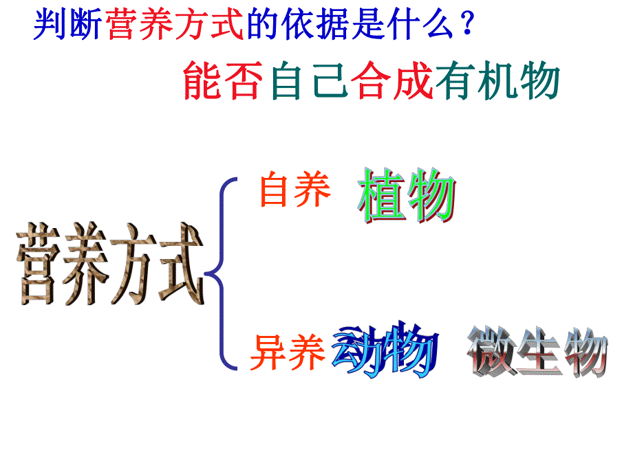 细菌PPT课件 精品教育.ppt_第3页