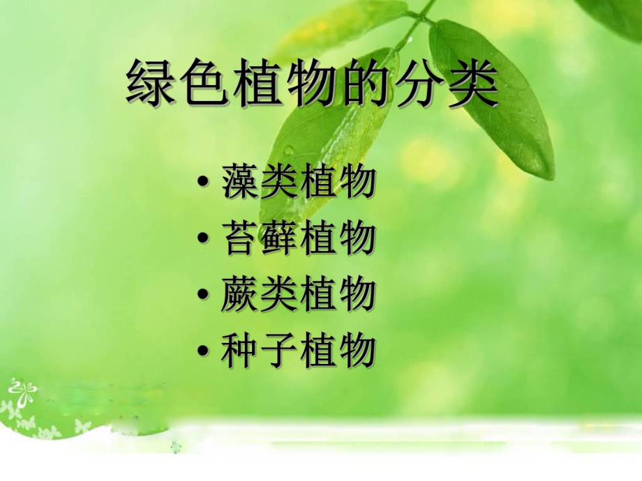 藻类苔藓和蕨类植物精品教育.ppt_第2页