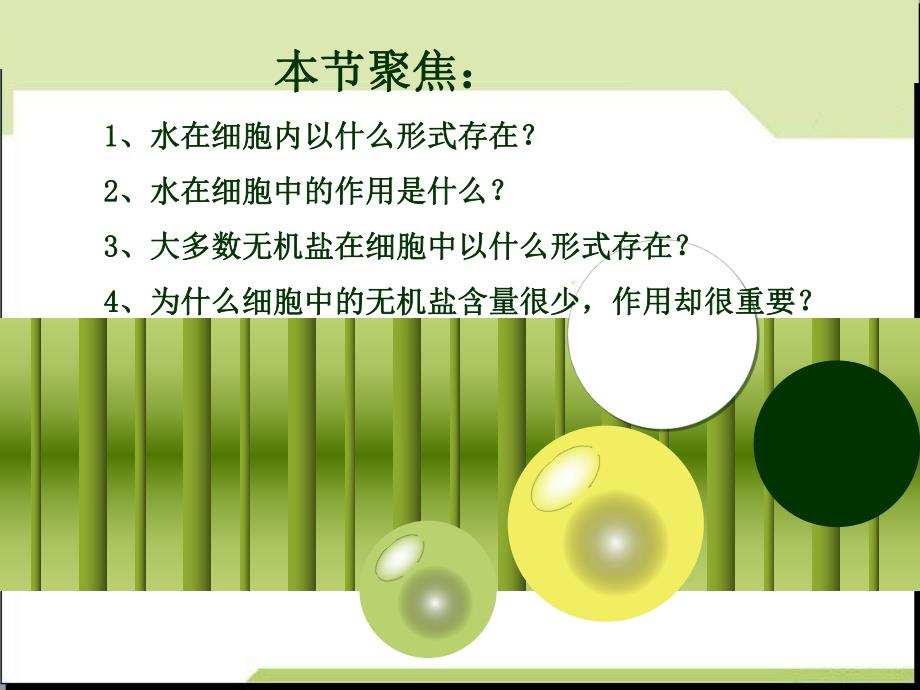 细胞中的无机物讲课用精品教育.ppt_第2页