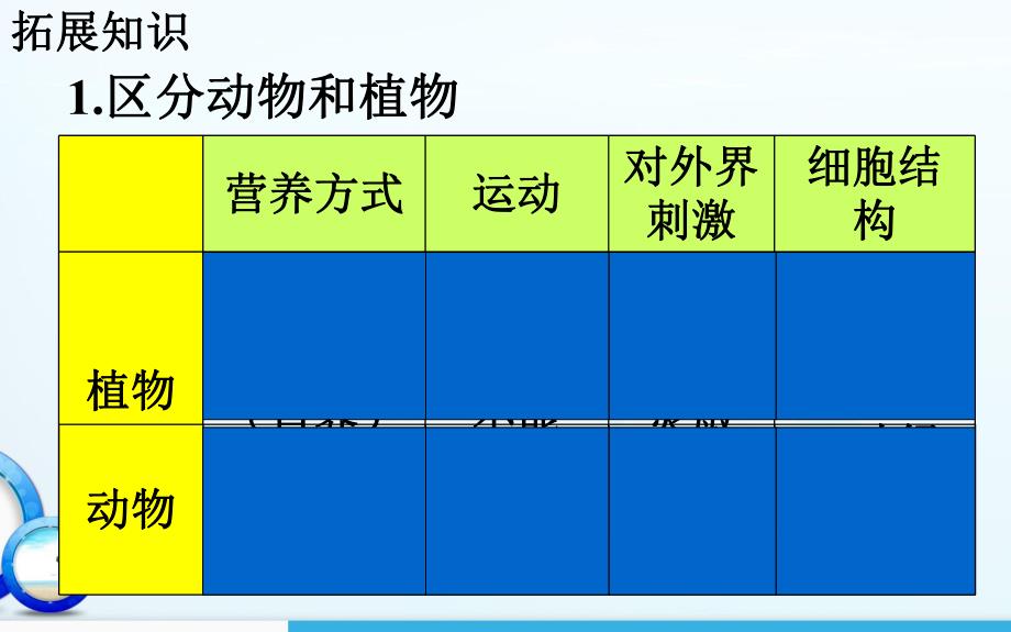 腔肠动物和扁形动物精品教育.ppt_第1页