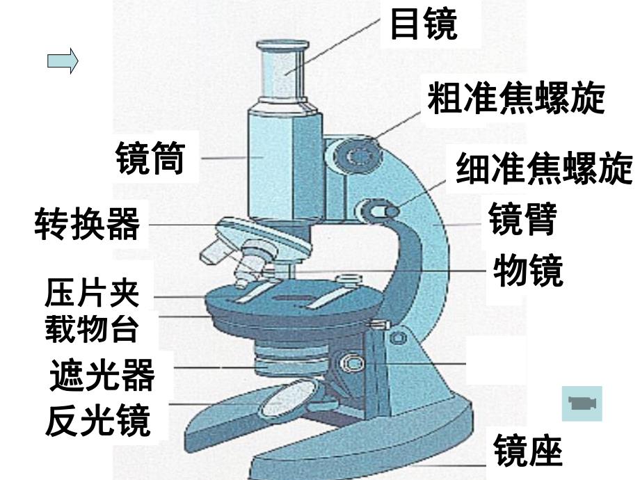 细胞的多样性和统一性课件赵太华精品教育.ppt_第3页