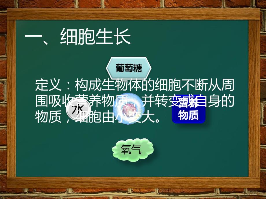 细胞通过分裂产生新细胞精品教育.ppt_第3页