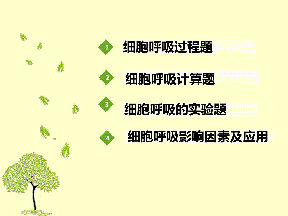 细胞呼吸习题课精品教育.ppt_第2页