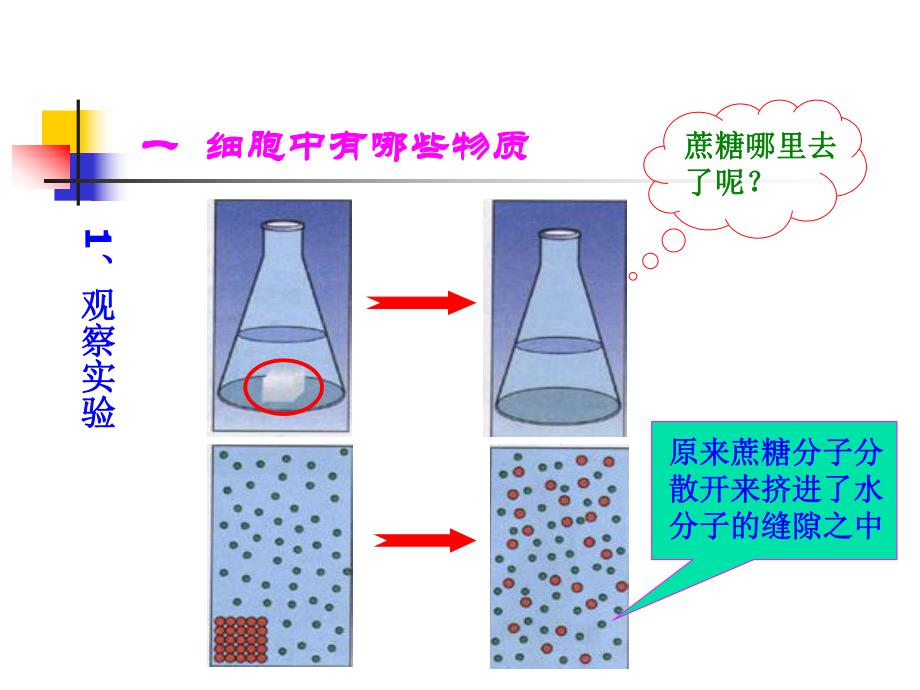 细胞的生活需要物质和能量精品教育.ppt_第3页