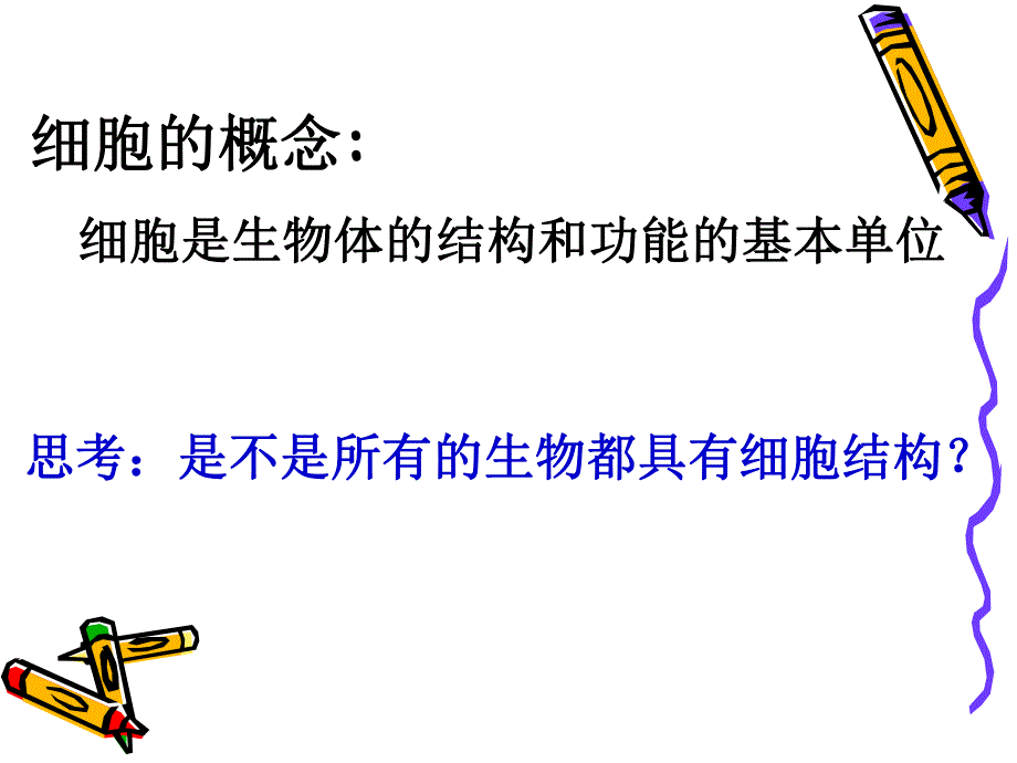 细胞的类型和结构精品教育.ppt_第2页