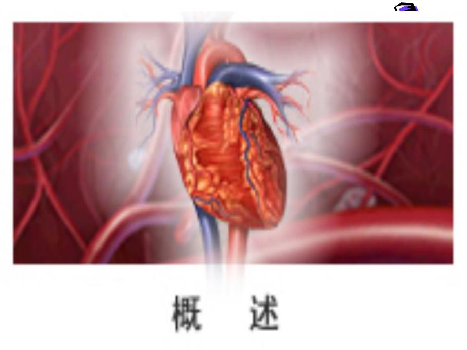 心脏的泵血功能改.ppt_第3页