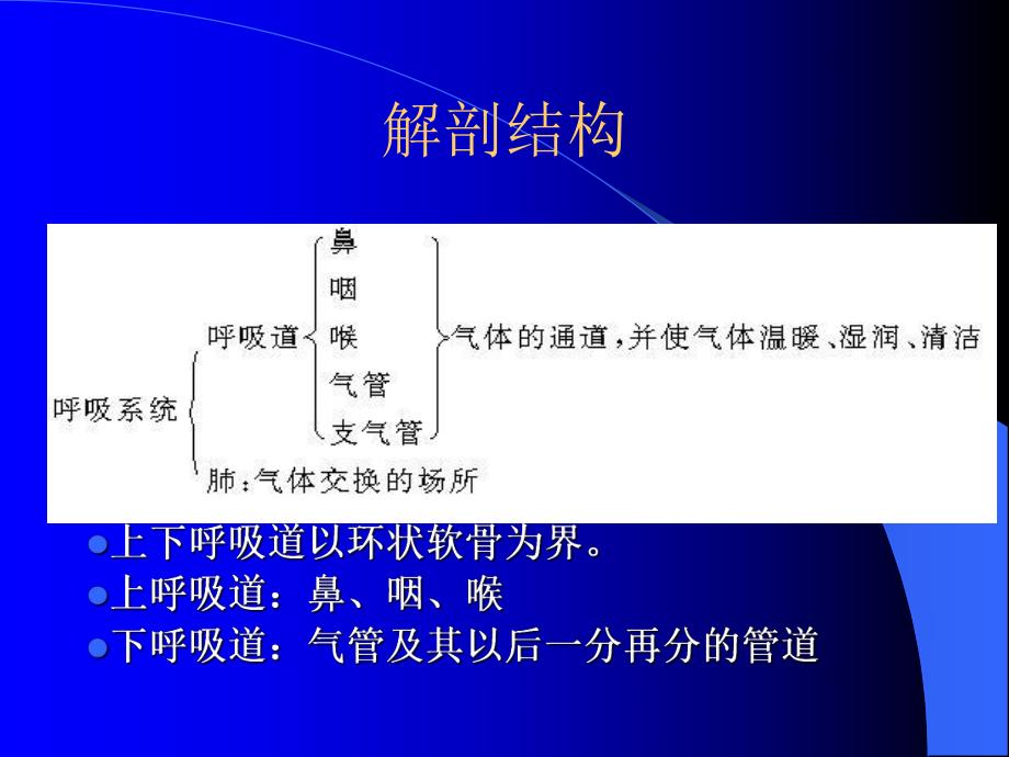 急性上呼吸道感染.ppt_第2页