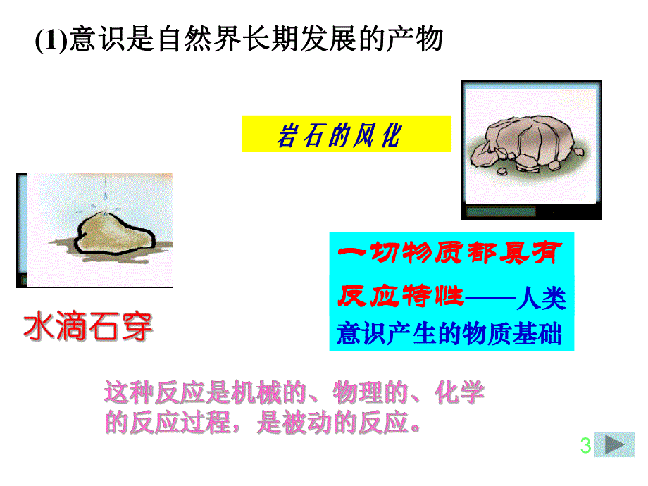 意识的本质和人的主观能动性.ppt_第3页