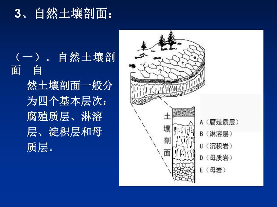 土壤的剖面.ppt_第3页