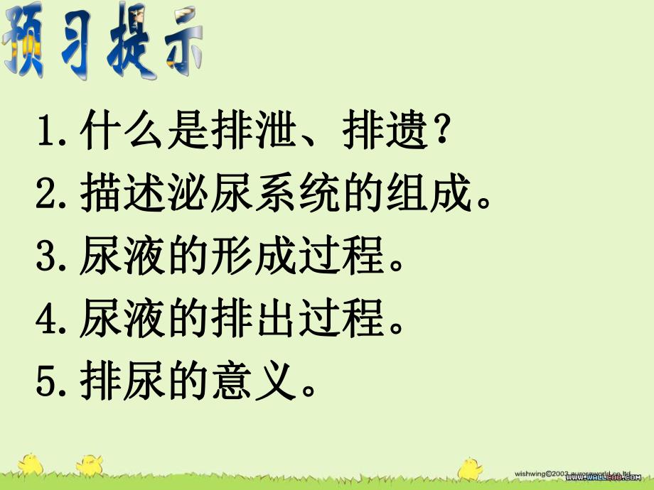 尿的形成和排出1.ppt_第2页