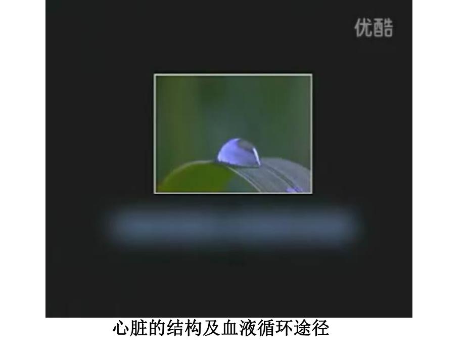 心脏结构及血液循环途径.ppt_第3页