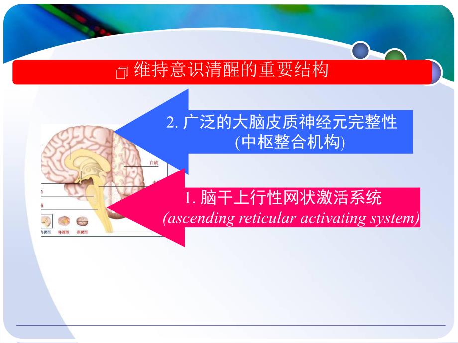 意识障碍讲课.ppt_第3页